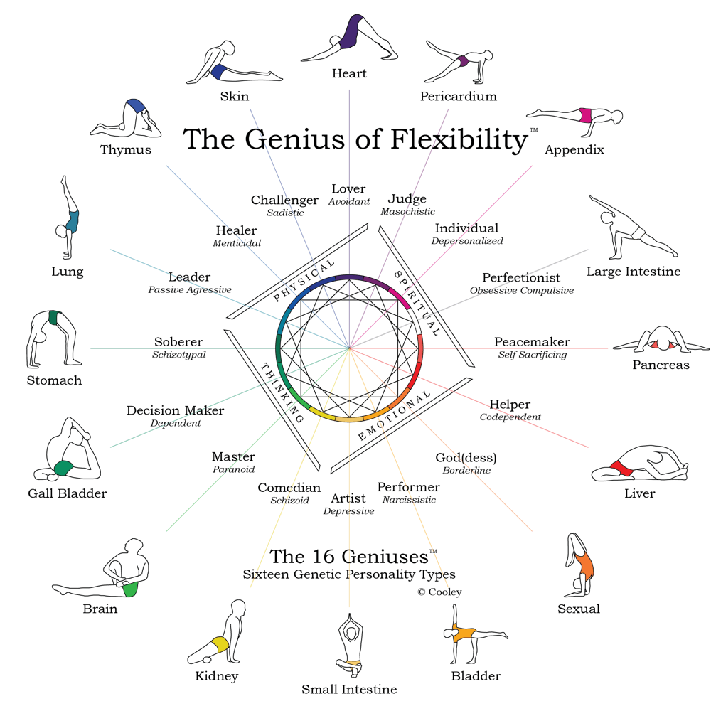 The Genius of Flexibility